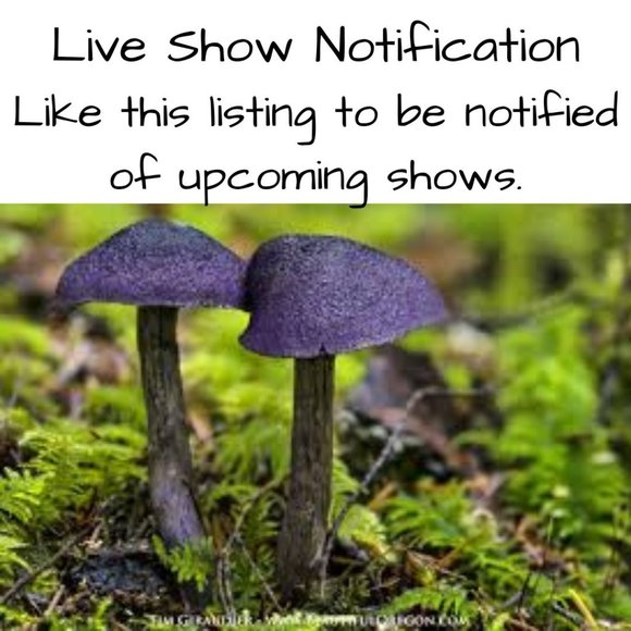 CLOSET CLOSING - PRICES ARE MARKED - Picture 2 of 7